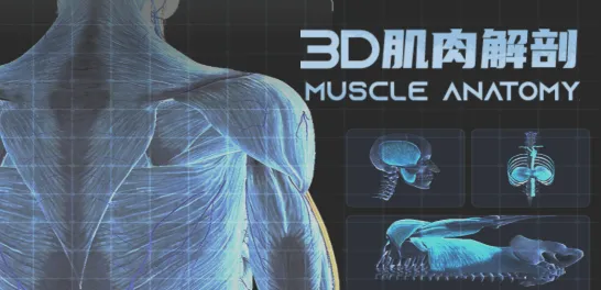 3D肌肉解剖最新手机版 3D肌肉解剖最新手机版