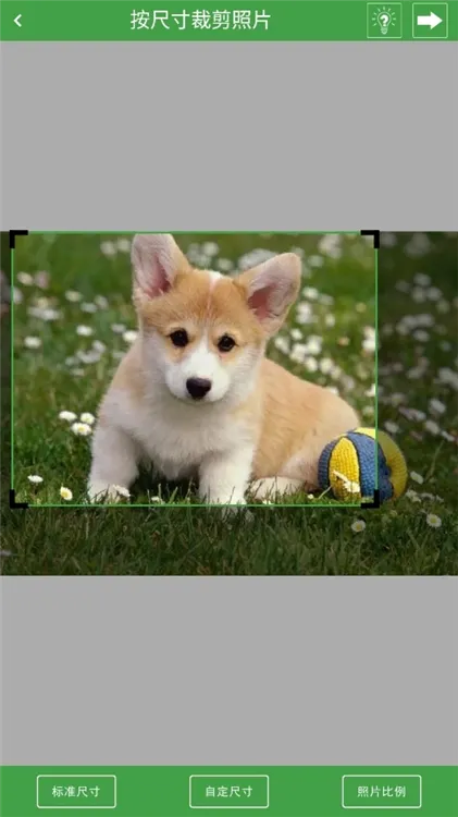 实用证件照(证件照制作) 实用证件照(证件照制作)