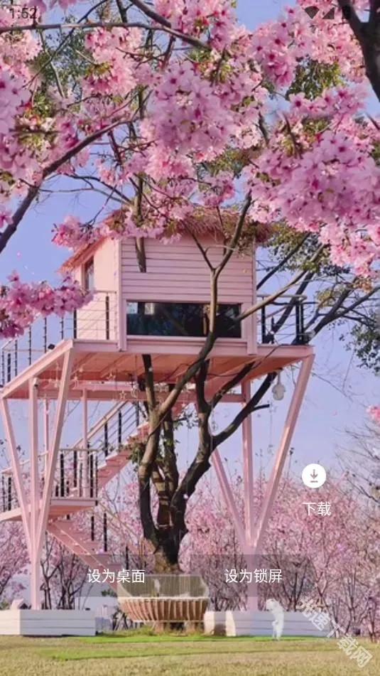 Quin壁纸(壁纸美化工具) Quin壁纸(壁纸美化工具)