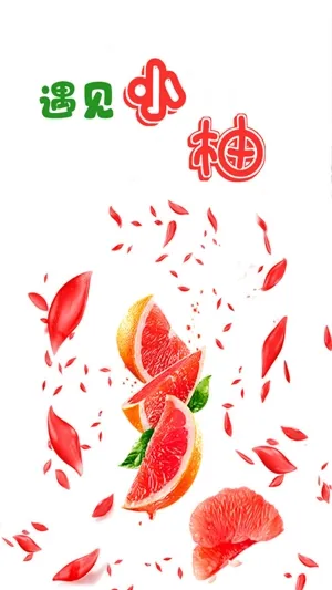 小柚快递(快递综合服务) 小柚快递(快递综合服务)