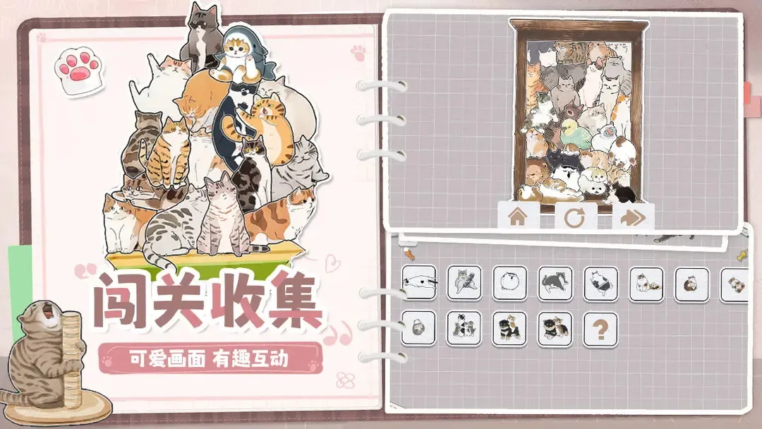 挤在一起的猫猫2025下载安装