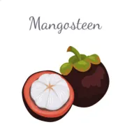 山竹社区2025下载