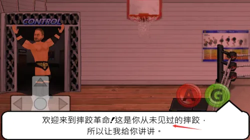 Wrestling Revolution(摔跤格斗游戏)