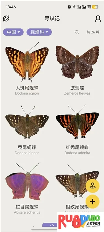 寻蝶记2025下载 寻蝶记2025下载