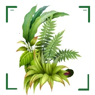 识万物扫一扫(识万物扫一扫(拍照识万物))