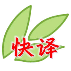 Xp快译2025最新版本