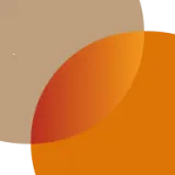 秦务员2025最新版本