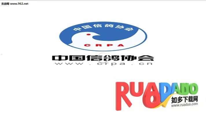 中国信鸽协会2025官方最新版本