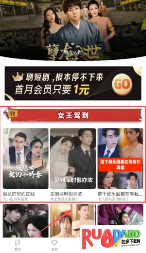 pp2025官方最新版本