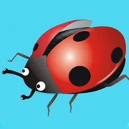 VSir(视频监控通)