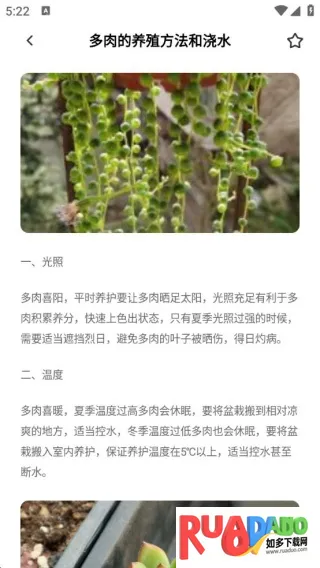 花朵物语时光2025最新版本 花朵物语时光2025最新版本