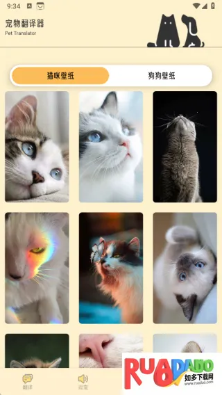 萌猫公园日常(宠物翻译)