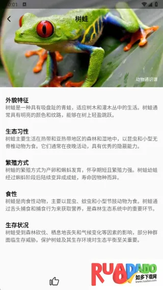 动物通识课2025官方最新版本 动物通识课2025官方最新版本