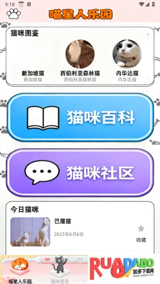 点个猫乐园2025官方最新版本