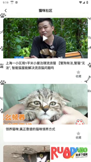 点个猫乐园2025官方最新版本