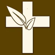 伴读圣经讲道注解2025官方正版