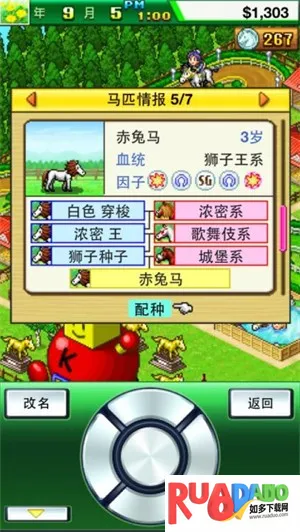 顶级跑马牧场999血统2025官方正版