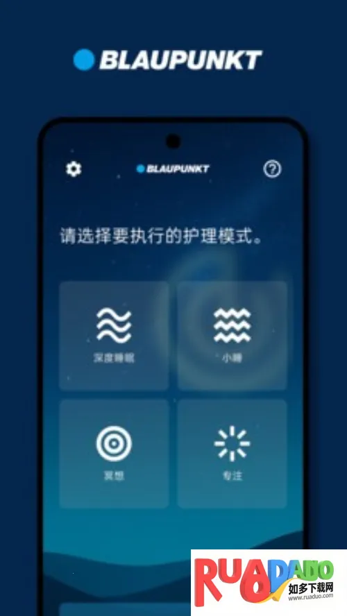 BLAUPUNKT(音效护理软件)