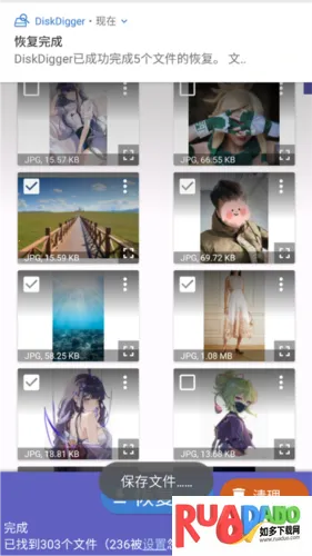 DiskDigger(数据恢复软件)