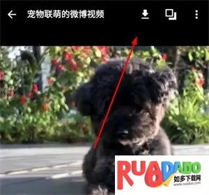 share微博(多功能微博端)