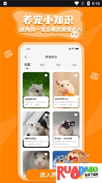 仓鼠翻译器(宠物翻译软件)