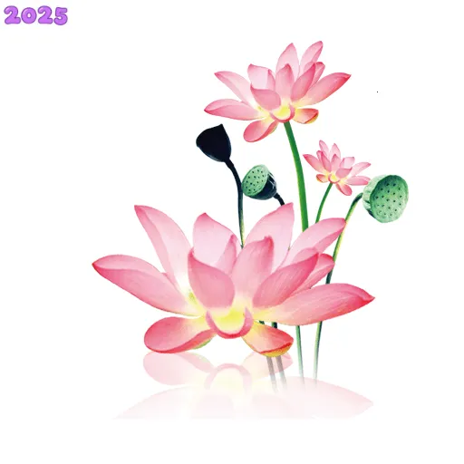 ˮī(๦ܹ)v1.2.0 ٷ