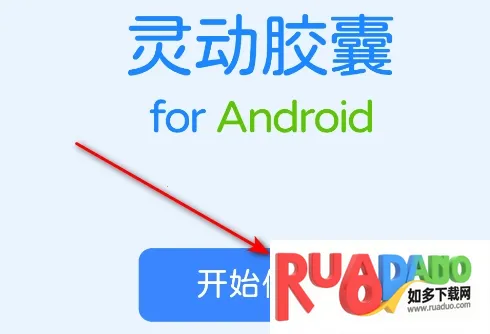 灵动胶囊2025下载安装