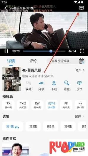 鱼儿4K最新手机版 鱼儿4K最新手机版