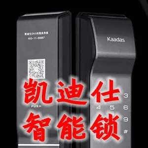 凯迪仕智能锁(智能锁管理软件)