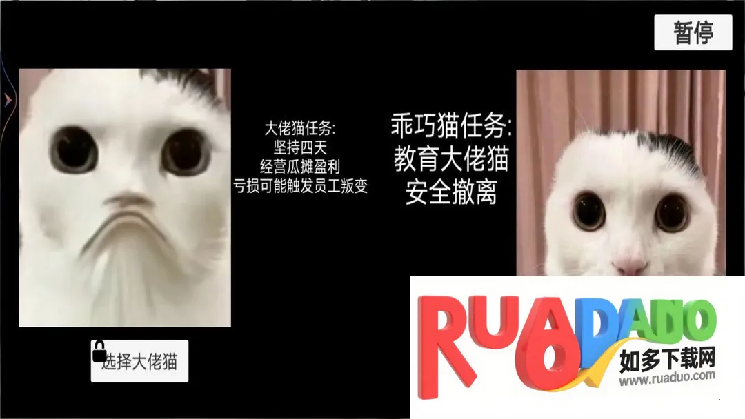猫猫惊魂夜安卓版手机版
