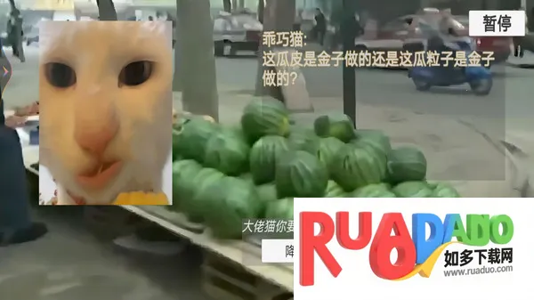 猫猫惊魂夜安卓版手机版