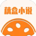 藕盒小说(小说阅读平台)