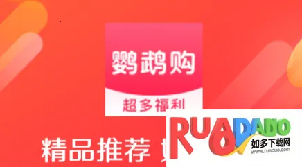 鹦鹉购2025官方正版