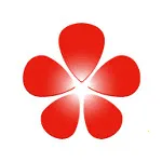 鼎山智能2025官方最新版本