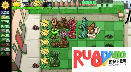 狂野植物战争2025官方最新版本