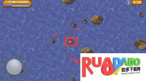 美味星球永恒2025下载