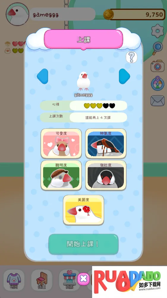 文鸟物语最新手机版 文鸟物语最新手机版