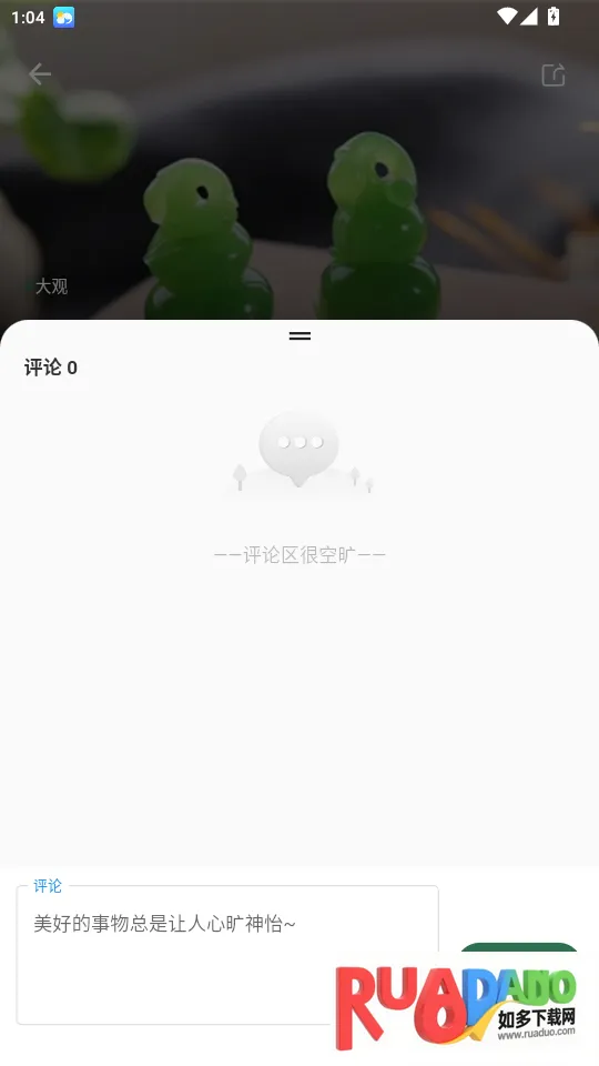 翡翠杂志(翡翠珠宝软件)