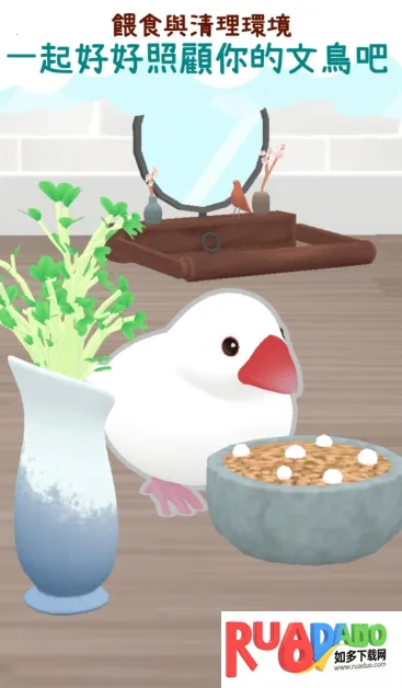文鸟物语2025下载 文鸟物语2025下载