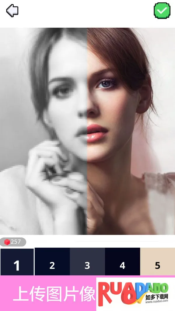 数字填色2025官方正版 数字填色2025官方正版