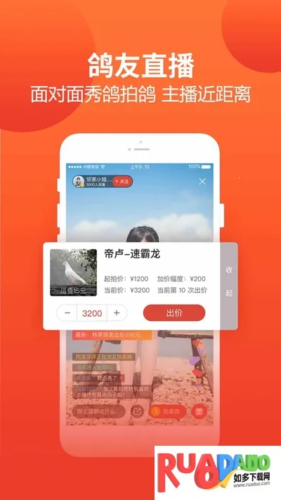 赛鸽头条搜鸽天下(赛鸽综合平台)