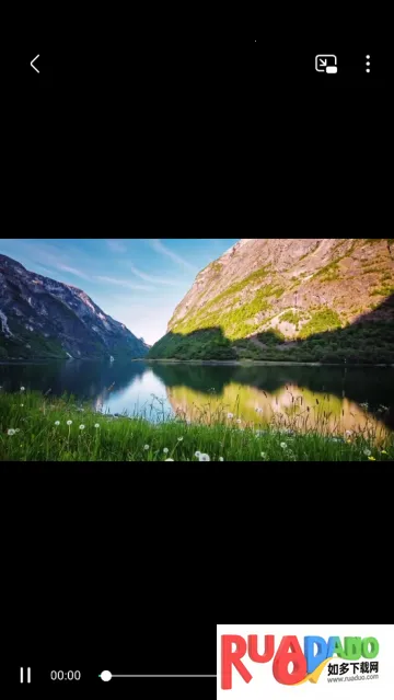 本地视频播放解码(视频格式解码软件)