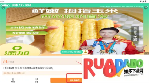 狮乐购2026官方正版