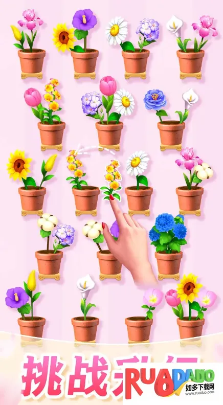 插花消除 插花消除