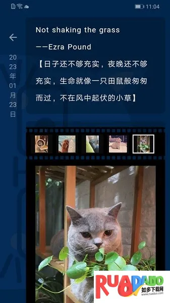 时间旅馆2026下载 时间旅馆2026下载