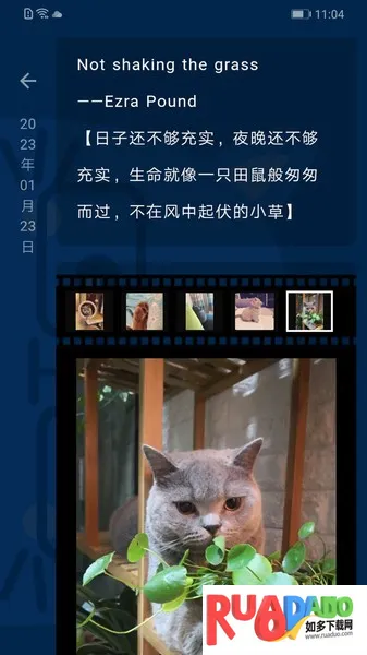 时间旅馆2026下载 时间旅馆2026下载