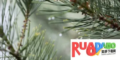 黑光图库(摄影图片分享) 黑光图库(摄影图片分享)