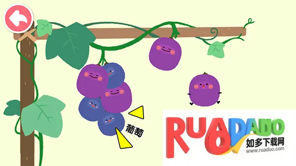 宝宝爱水果蔬菜2026最新版本