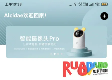 海雀2026官方正版 海雀2026官方正版