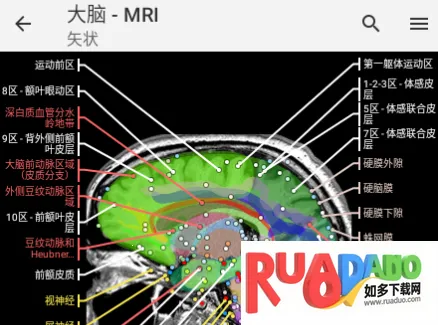 vet Anatomy2026最新版本 vet Anatomy2026最新版本
